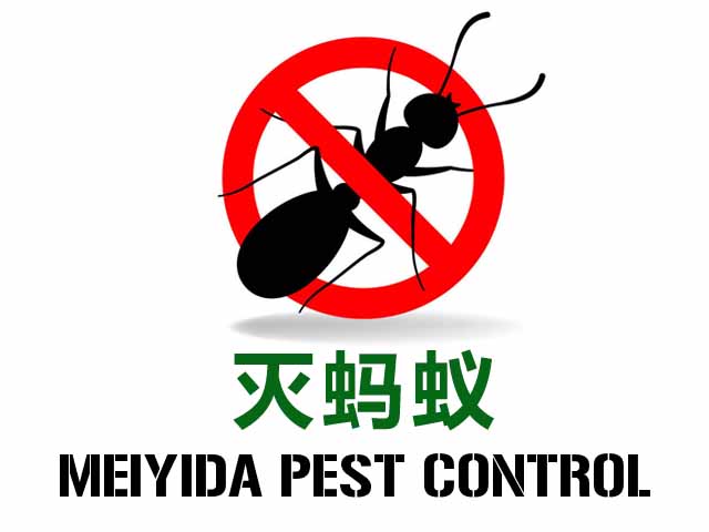 西安灭蚂蚁公司