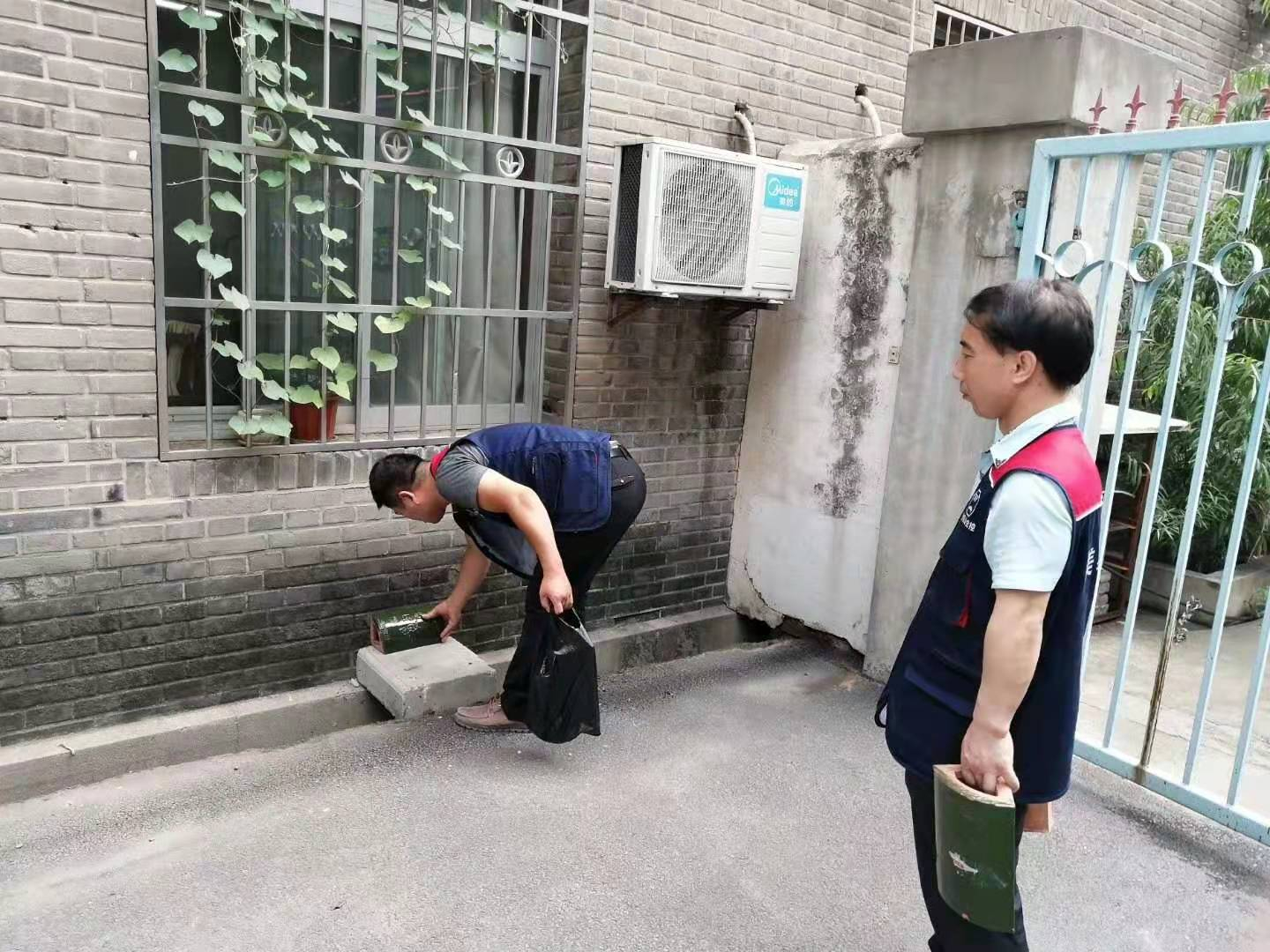 在西安，猫真的可以逮住老鼠吗？ 灭老鼠公司给你说说