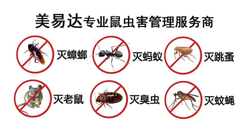 6种害虫镂空.jpg