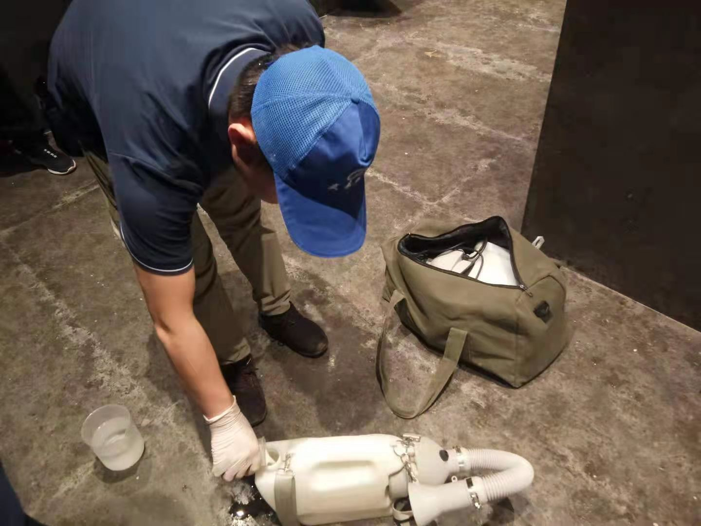 西安害虫消杀砸收费，消杀公司为您解答