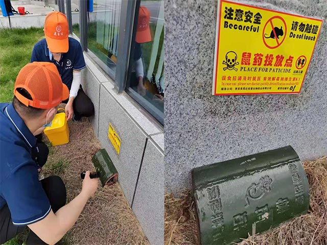 西安消杀灭鼠公司蟑螂鼠害的防制目标